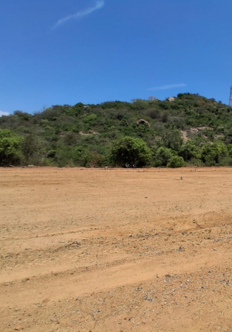 Residential Plots